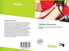 Couverture de Callitris Verrucosa