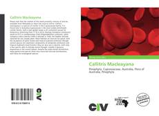 Bookcover of Callitris Macleayana
