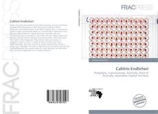 Borítókép a  Callitris Endlicheri - hoz