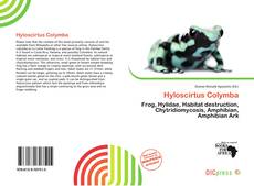 Copertina di Hyloscirtus Colymba