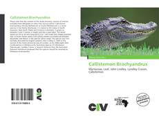 Bookcover of Callistemon Brachyandrus