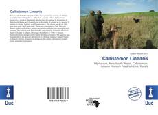 Bookcover of Callistemon Linearis