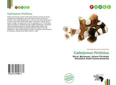 Copertina di Callistemon Pinifolius