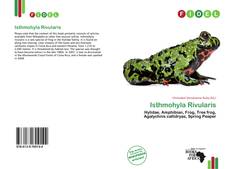 Copertina di Isthmohyla Rivularis