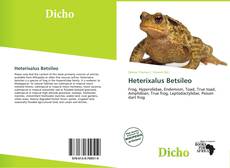Обложка Heterixalus Betsileo
