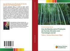 Couverture de Uso de Bambu para Produção de Carvão Ativado com Tecnologia social