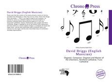 Buchcover von David Briggs (English Musician)