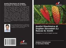 Bookcover of Analisi fitochimica di Zngiber Zerumbet (L) Roscoe Ex Smith