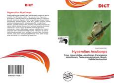 Borítókép a  Hyperolius Acuticeps - hoz