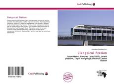 Capa do livro de Jiangzicui Station 