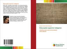 Couverture de Educação superior indígena: