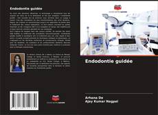 Bookcover of Endodontie guidée