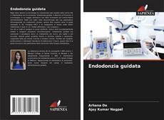 Endodonzia guidata kitap kapağı