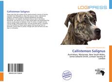 Callistemon Salignus kitap kapağı