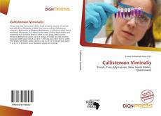 Copertina di Callistemon Viminalis