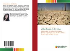 Copertina di Vidas Secas de Direitos