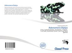 Portada del libro de Adenomera Diptyx