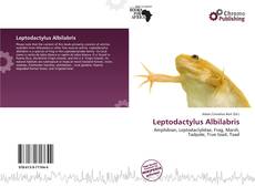 Copertina di Leptodactylus Albilabris