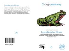 Обложка Leptodactylus Elenae