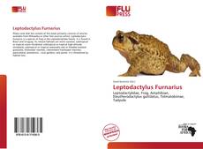 Copertina di Leptodactylus Furnarius
