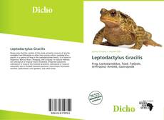 Copertina di Leptodactylus Gracilis