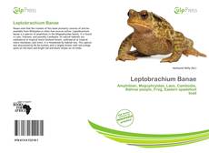 Buchcover von Leptobrachium Banae