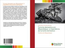 Capa do livro de Turismo domestico em Moçambique: a importância do turismo domestico 
