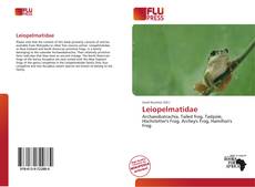 Copertina di Leiopelmatidae