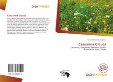 Copertina di Casuarina Glauca