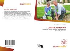 Copertina di Caustis Pentandra