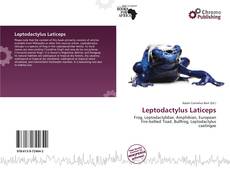 Leptodactylus Laticeps的封面