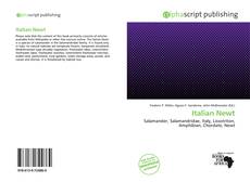 Borítókép a  Italian Newt - hoz