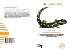 Bookcover of Limestone Salamander