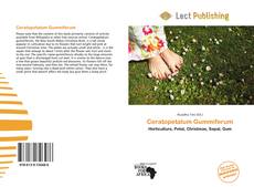 Bookcover of Ceratopetalum Gummiferum