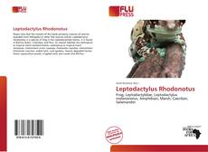 Copertina di Leptodactylus Rhodonotus