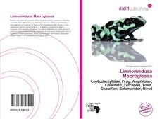 Couverture de Limnomedusa Macroglossa