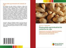 Buchcover von Planta piloto agroindustrial de castanha de caju