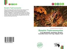 Buchcover von Boophis Tephraeomystax
