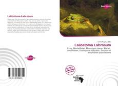 Portada del libro de Laliostoma Labrosum