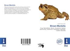 Bookcover of Brown Mantella