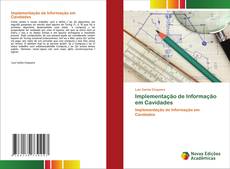 Portada del libro de Implementação de Informação em Cavidades