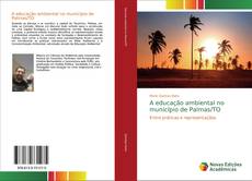 Copertina di A educação ambiental no município de Palmas/TO