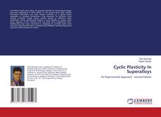 Cyclic Plasticity In Superalloys的封面