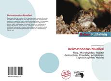 Copertina di Dermatonotus Muelleri
