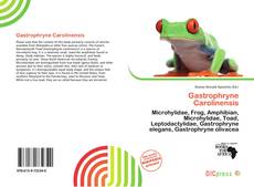 Copertina di Gastrophryne Carolinensis