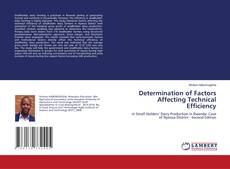 Capa do livro de Determination of Factors Affecting Technical Efficiency 