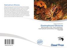 Portada del libro de Gastrophryne Olivacea