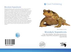 Portada del libro de Microhyla Nepenthicola