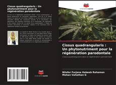 Обложка Cissus quadrangularis : Un phytonutriment pour la régénération parodontale
