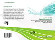 Portada del libro de Ángel Borlenghi